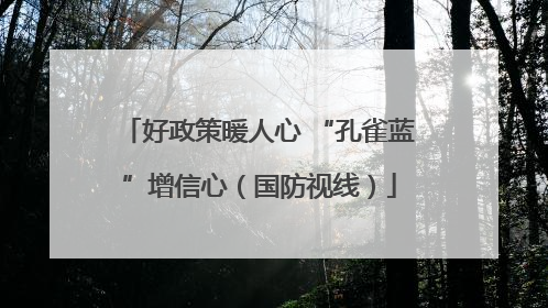 好政策暖人心 “孔雀蓝”增信心（国防视线）