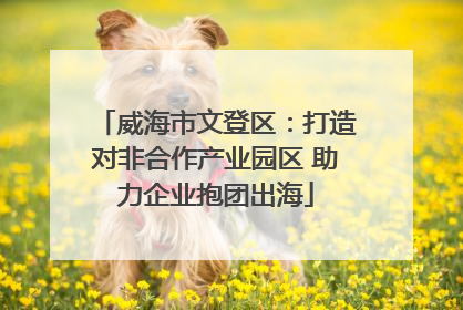 威海市文登区：打造对非合作产业园区 助力企业抱团出海