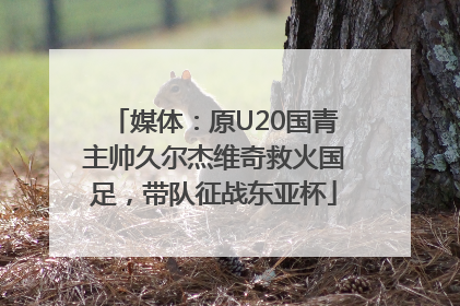 媒体：原U20国青主帅久尔杰维奇救火国足，带队征战东亚杯