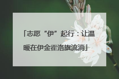 志愿“伊”起行：让温暖在伊金霍洛旗流淌