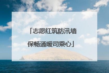 志愿红筑防汛墙 保畅通暖司乘心