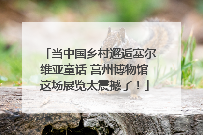 当中国乡村邂逅塞尔维亚童话 莒州博物馆这场展览太震撼了！