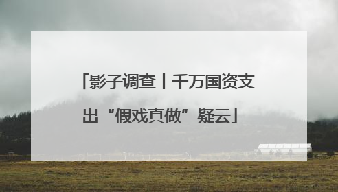 影子调查丨千万国资支出“假戏真做”疑云
