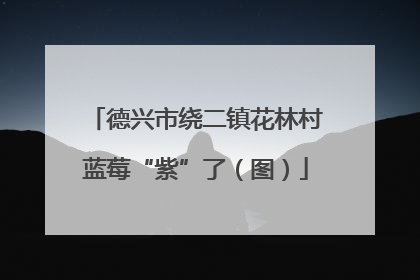 德兴市绕二镇花林村蓝莓“紫”了（图）