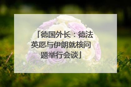 德国外长：德法英愿与伊朗就核问题举行会谈