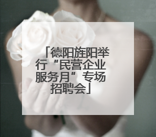 德阳旌阳举行“民营企业服务月”专场招聘会