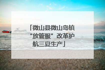 微山县微山岛镇“放管服”改革护航三夏生产