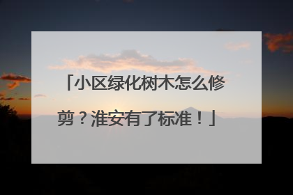 小区绿化树木怎么修剪？淮安有了标准！