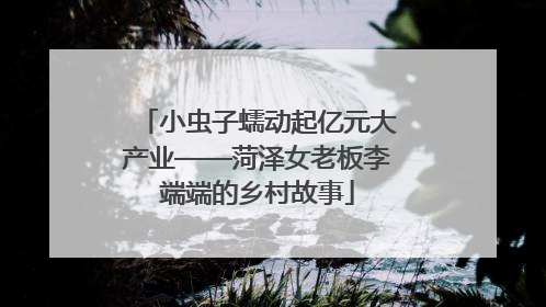 小虫子蠕动起亿元大产业——菏泽女老板李端端的乡村故事