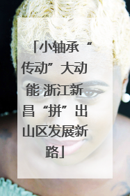 小轴承“传动”大动能 浙江新昌“拼”出山区发展新路