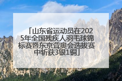 山东省运动员在2025年全国残疾人羽毛球锦标赛暨东京聋奥会选拔赛中斩获3银1铜