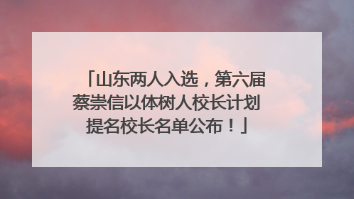 山东两人入选，第六届蔡崇信以体树人校长计划提名校长名单公布！