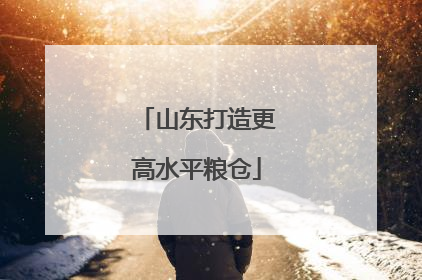 山东打造更高水平粮仓