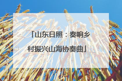山东日照：奏响乡村振兴山海协奏曲