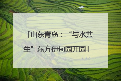 山东青岛：“与水共生”东方伊甸园开园