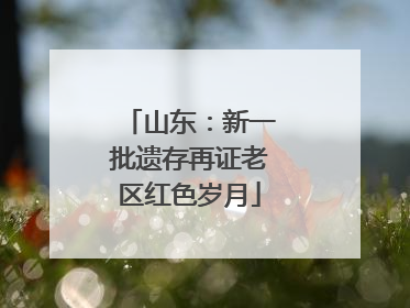 山东：新一批遗存再证老区红色岁月