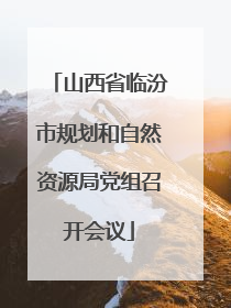 山西省临汾市规划和自然资源局党组召开会议