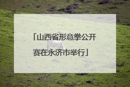 山西省形意拳公开赛在永济市举行