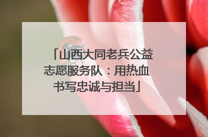 山西大同老兵公益志愿服务队：用热血书写忠诚与担当