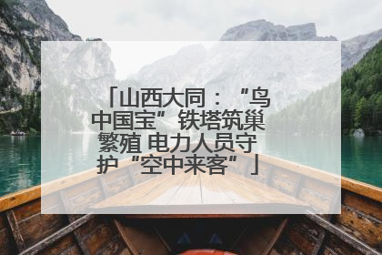 山西大同：“鸟中国宝”铁塔筑巢繁殖 电力人员守护“空中来客”