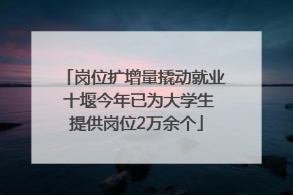 岗位扩增量撬动就业 十堰今年已为大学生提供岗位2万余个