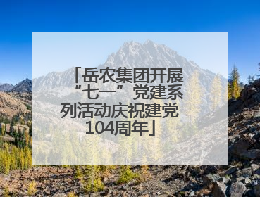 岳农集团开展“七一”党建系列活动庆祝建党104周年