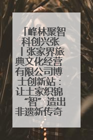 峰林聚智 科创兴张丨张家界旅典文化经营有限公司博士创新站：让土家织锦“智”造出非遗新传奇