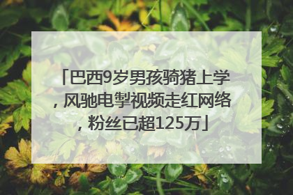 巴西9岁男孩骑猪上学，风驰电掣视频走红网络，粉丝已超125万
