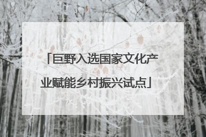巨野入选国家文化产业赋能乡村振兴试点