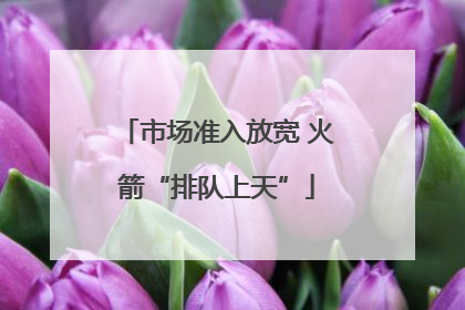 市场准入放宽 火箭“排队上天”