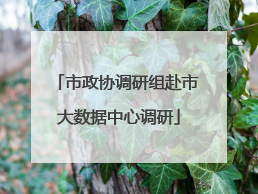 市政协调研组赴市大数据中心调研