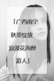 广西南宁秋英绽放 浪漫花海醉游人