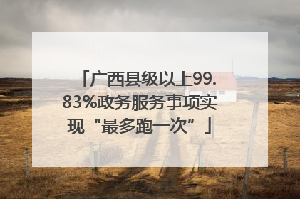 广西县级以上99.83%政务服务事项实现“最多跑一次”