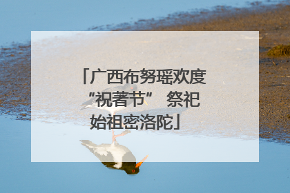 广西布努瑶欢度“祝著节” 祭祀始祖密洛陀