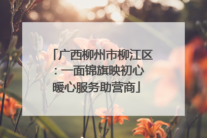 广西柳州市柳江区：一面锦旗映初心 暖心服务助营商