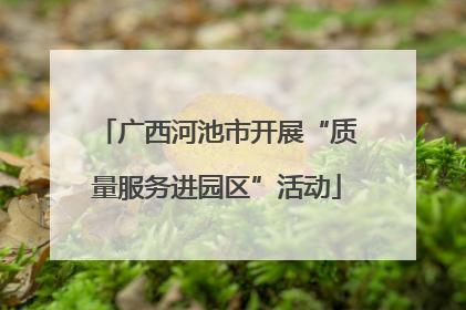 广西河池市开展“质量服务进园区”活动