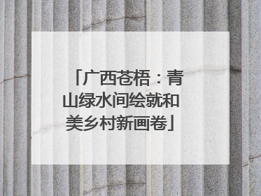 广西苍梧：青山绿水间绘就和美乡村新画卷