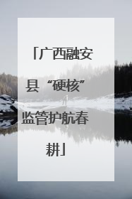 广西融安县“硬核”监管护航春耕