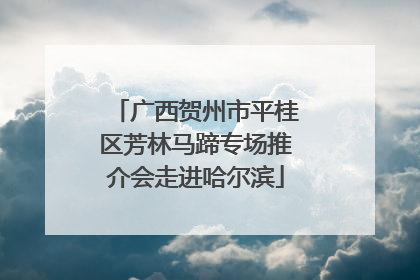 广西贺州市平桂区芳林马蹄专场推介会走进哈尔滨