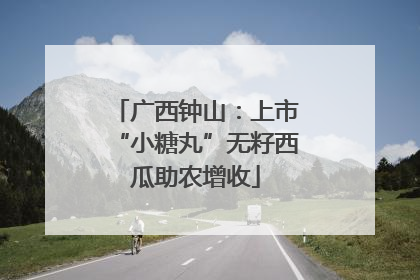 广西钟山：上市“小糖丸”无籽西瓜助农增收