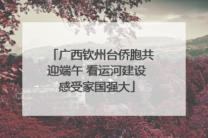 广西钦州台侨胞共迎端午 看运河建设感受家国强大