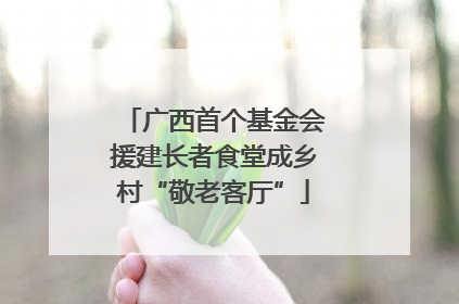 广西首个基金会援建长者食堂成乡村“敬老客厅”