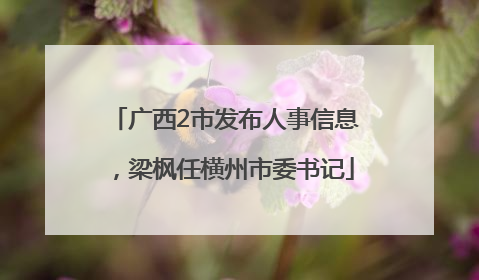 广西2市发布人事信息，梁枫任横州市委书记