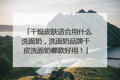 干燥皮肤适合用什么洗面奶，洗面奶品牌干皮洗面奶哪款好用！