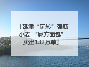 延津“玩转”强筋小麦 “魔方面包”卖出132万单