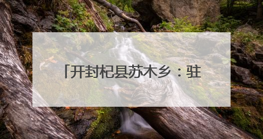 开封杞县苏木乡：驻村工作队助力夏粮抢收按下 “快进键”