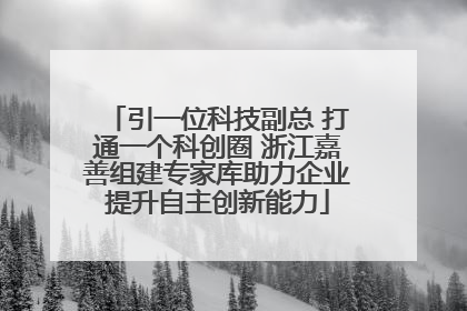 引一位科技副总 打通一个科创圈 浙江嘉善组建专家库助力企业提升自主创新能力