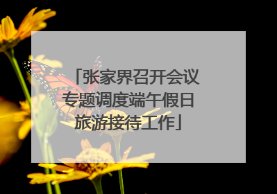张家界召开会议专题调度端午假日旅游接待工作