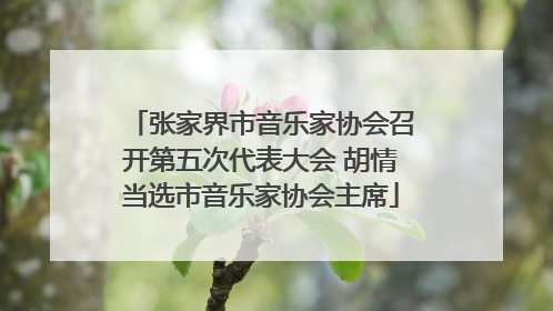 张家界市音乐家协会召开第五次代表大会 胡情当选市音乐家协会主席