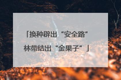 换种辟出“安全路” 林带结出“金果子”